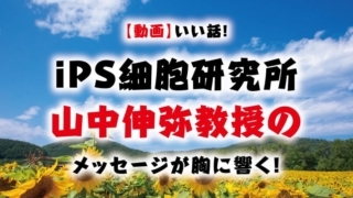【動画】いい話!iPS細胞研究所 山中伸弥教授のメッセージが胸に響く!のタイトル画像