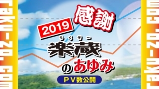 【 感 謝 】2019楽蔵のあゆみ PV数公開のアイキャッチ画像